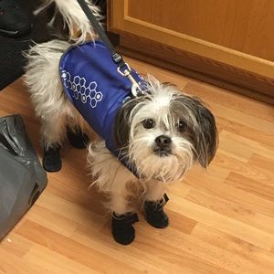 Meet your Posher, Katheryn